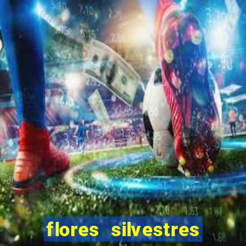 flores silvestres desbravadores desbravadores 25 flores silvestres e seus nomes